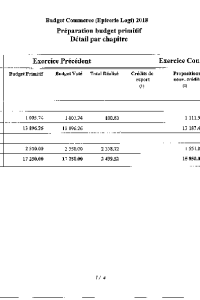 documentation PDF 2018-Budget primitif du commerce