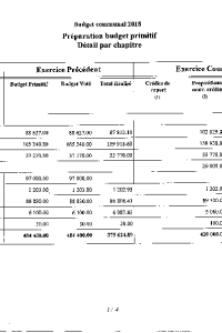 documentation PDF 2018-Budget primitif de la commune