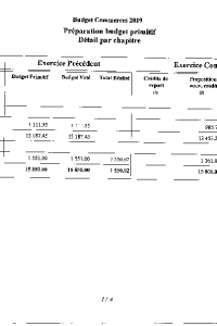 documentation PDF 2019-02 Budget primitif commerces