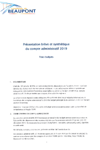 documentation PDF 2019-05 Présentation brève et synthétique du CA (réalisé 2019)