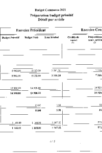 documentation PDF 2021-03 Budget primitif COMMERCE