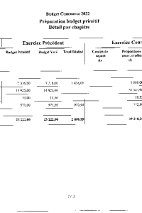 documentation PDF 2022-04 Budget primitif COMMERCE