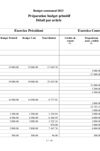 documentation PDF 2023-03 Budget primitif COMMUNE