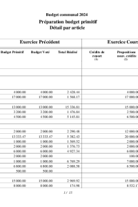 documentation PDF 2024-03 Budget primitif COMMUNE