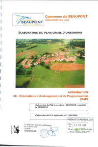 documentation PDF 2b-Orientation d'Aménagement et de Programmation (OAP)
