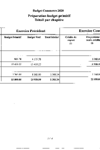 documentation PDF 2020-02 Budget primitif COMMERCE