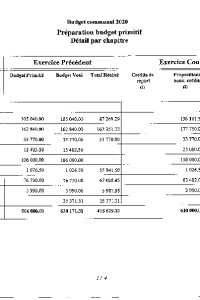 documentation PDF 2020-01 Budget primitif COMMUNE